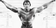 arnold 4 chest tips