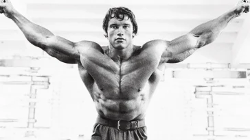 arnold 4 chest tips