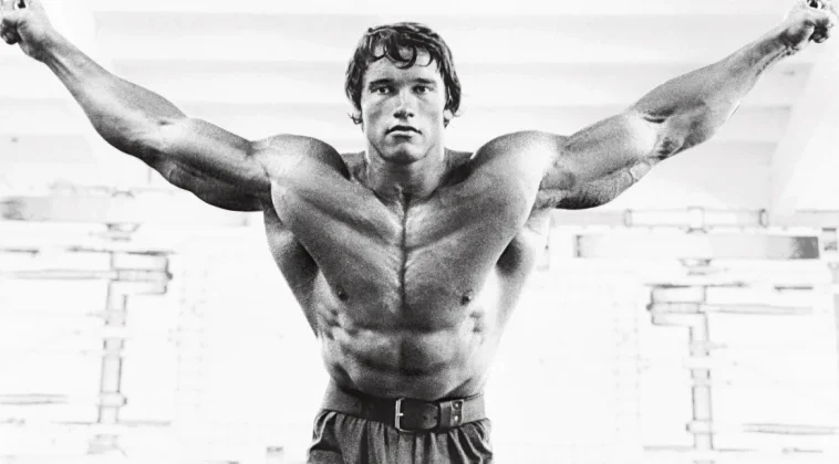 arnold 4 chest tips